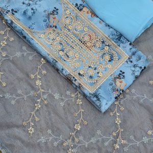 Organza salwar-OS1