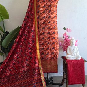Semi patola silk with Kanchi border-BM12