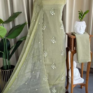 Premium soft crush organza salwar material with lining-GD8