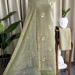 Premium soft crush organza salwar material with lining-GD10