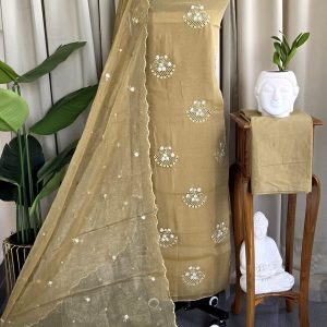 Premium soft crush organza salwar material with lining-GD1